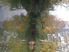 -成都世纪城假日酒店-西楼