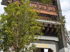 -王借岗森林公园