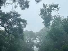 -广州市白云山风景名胜区