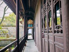 -八大山人梅湖景区