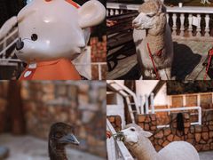 -J Create城市露营咖啡·简餐·宠物(上海动物园店)