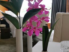 -文华扒房及酒吧(香港文华东方酒店)