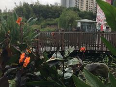 景点-苏州河梦清园环保主题公园