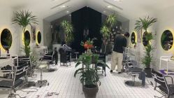 -大象造型