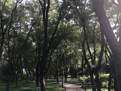-玲珑塔公园
