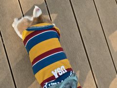 -小意思咖啡店(草桥店)