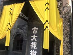 -大槐树寻根祭祖园