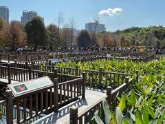 -五缘湾湿地公园