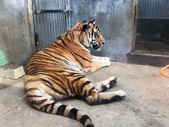 -泉州海丝野生动物世界