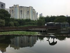 -苏州河梦清园环保主题公园