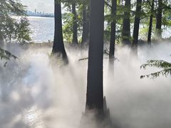-东湖落雁景区