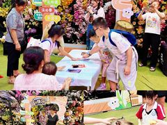 -正佳雨林生态植物园