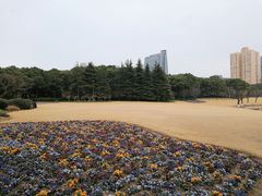 -黄兴公园