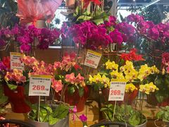 -山东嘉汇文化用品有限公司张店凤凰国际分公司(新村西路店)