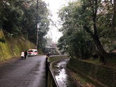 -西芳寺(苔寺)