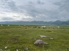 -新疆那拉提国家旅游度假区