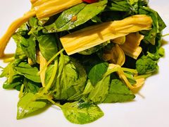 荆芥鲜腐竹-徽镇小厨·经典徽菜(十里河店)