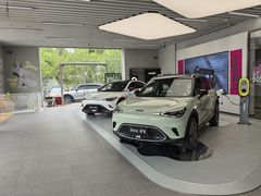 -上海浦东smart汽车全功能店(金桥店)