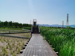 -永定河休闲森林公园