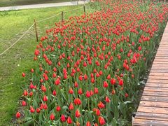 -长春公园(普阳街道)