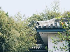 -西安青龙寺遗址景区