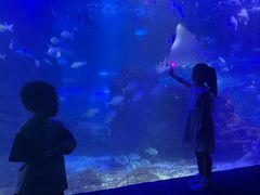 -江和美海洋公园
