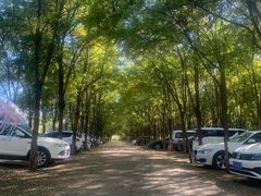 -呀路古热带植物园