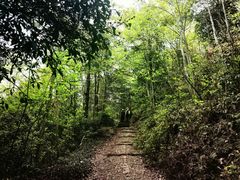 -十九峰景区-倒脱靴