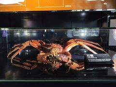 -同济大学四平路校区深海探索馆