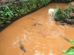-海南热带野生动植物园