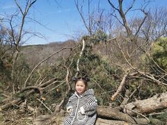 -高尔山公园