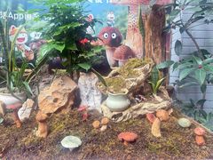 -蔼若春.传承云南菜(金碧公园店)