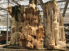 -兴芮温泉度假区