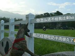 -瑞穗牧场花莲门市