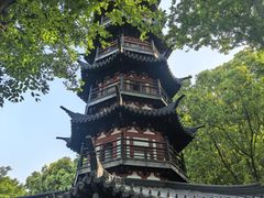 -上海佘山国家森林公园西佘山园