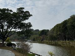 -东莞植物园