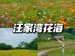 -老鼎万春卤菜(五代传承创始老店)