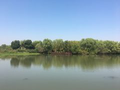 -长兴太湖图影湿地文化园