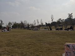 -两河城市森林公园