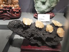 -湖南省地质博物馆