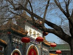 -哈尔滨极乐寺