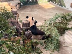 -杭州野生动物世界