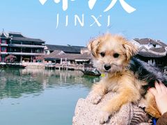 -锦溪古镇