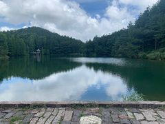 -四明山国家森林公园