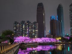 -西北湖绿化广场