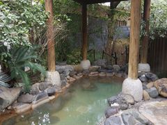 -张家港金凤凰度假村温泉