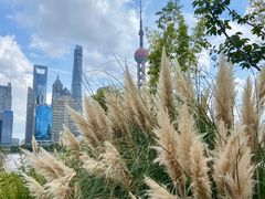 -北外滩滨江绿地