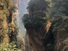 -山之屋炭火烧肉·生啤畅饮(大朗万科中央公园店)