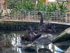 -南宫五洲植物乐园