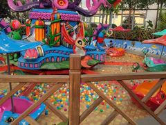 -南宫五洲植物乐园